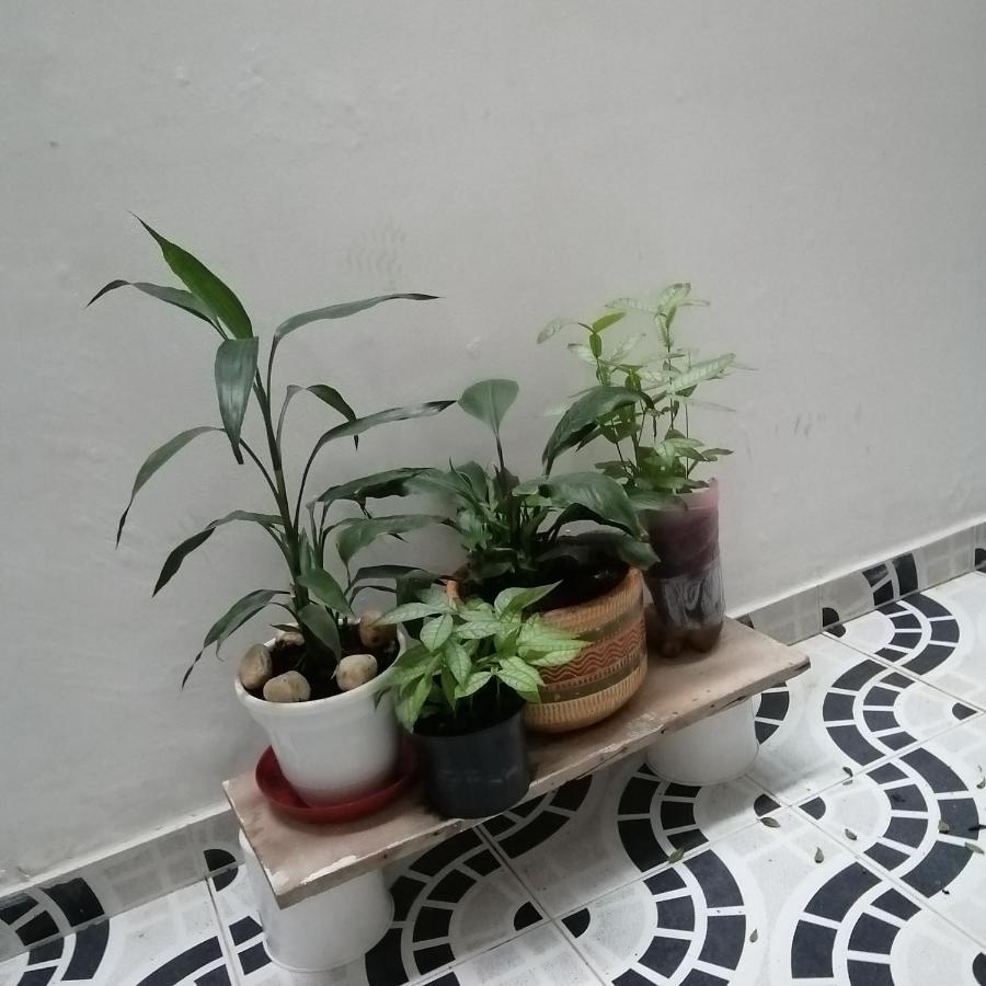 Casa 比亚维森西奥 外观 照片